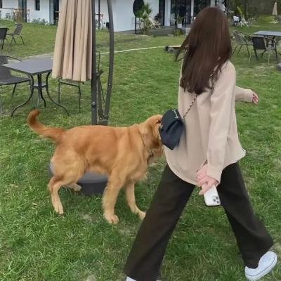 炮制女朋友国语海报